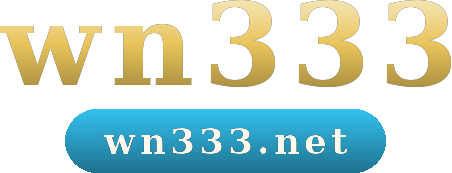 wn333 logo